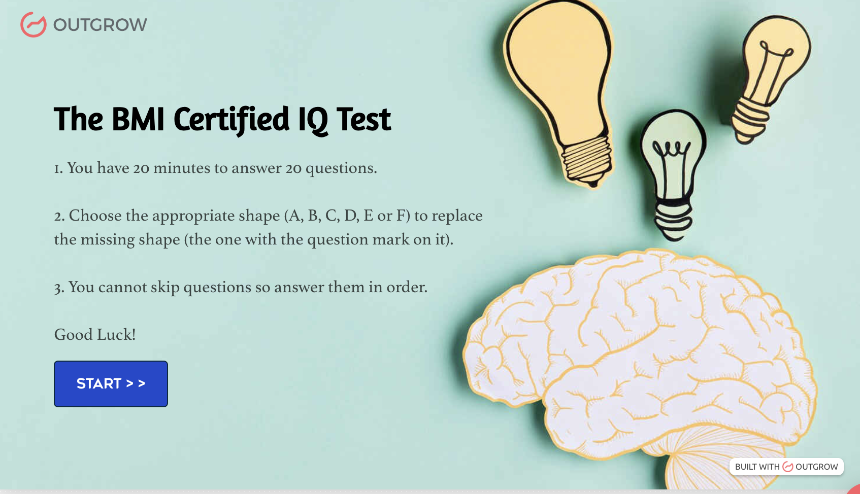 The BMI Certified IQ Test