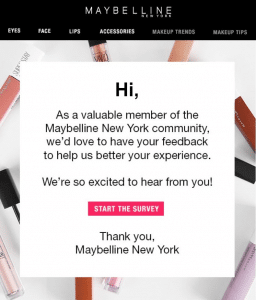 Maybelline's Interactive poll email