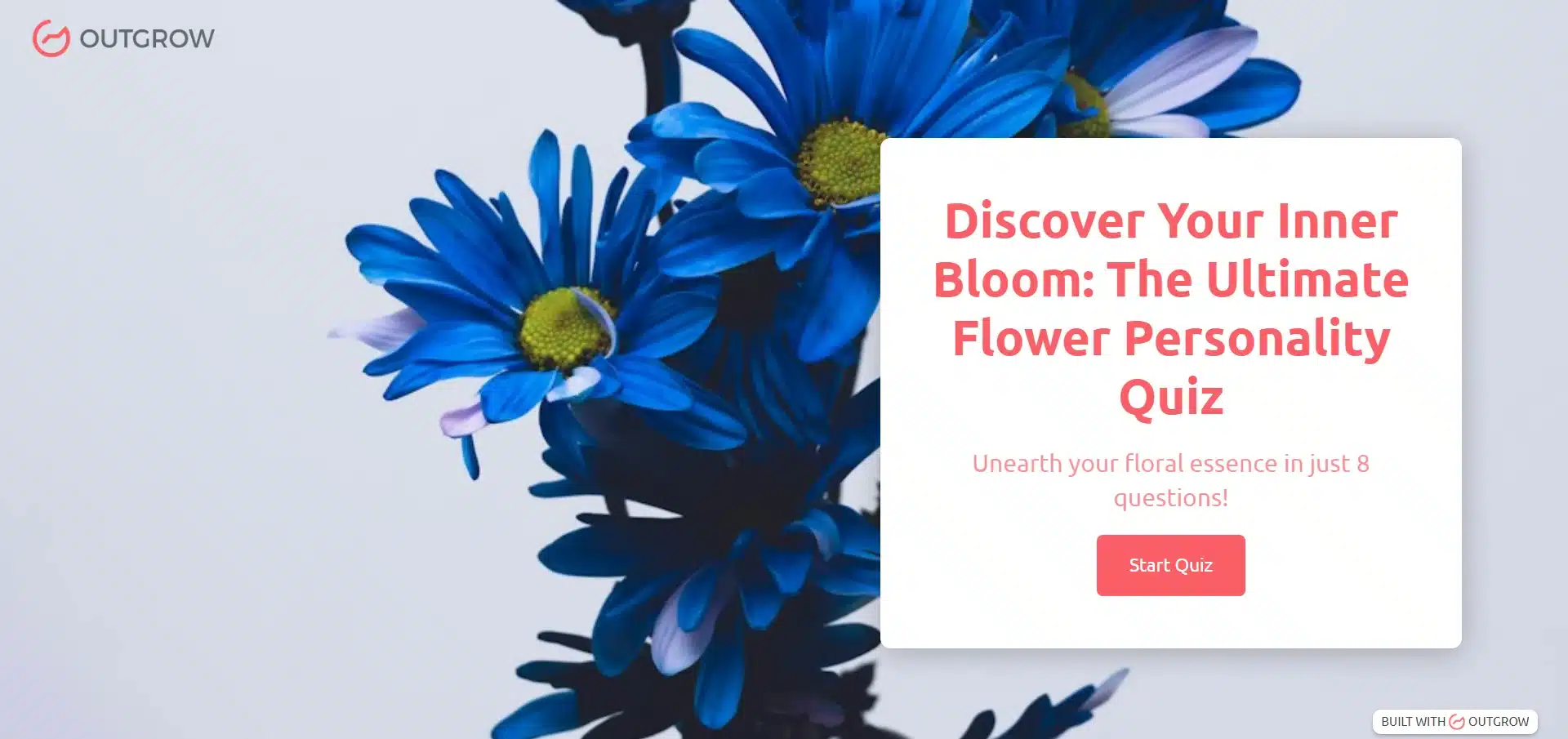 Discover Your Inner Bloom The Ultimate Flower Personality Quiz